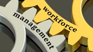 Read more about the article Workforce Management vs Human Capital Management: What’s The Difference?